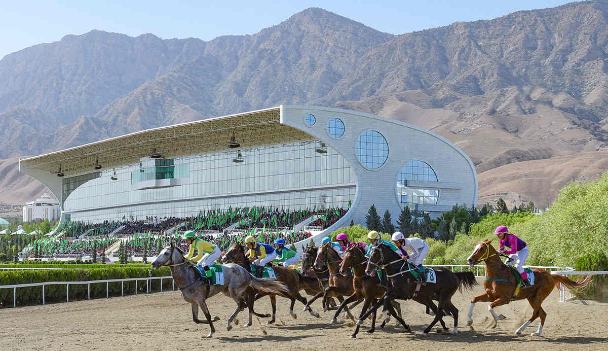 TURKMEN HORSE 1
